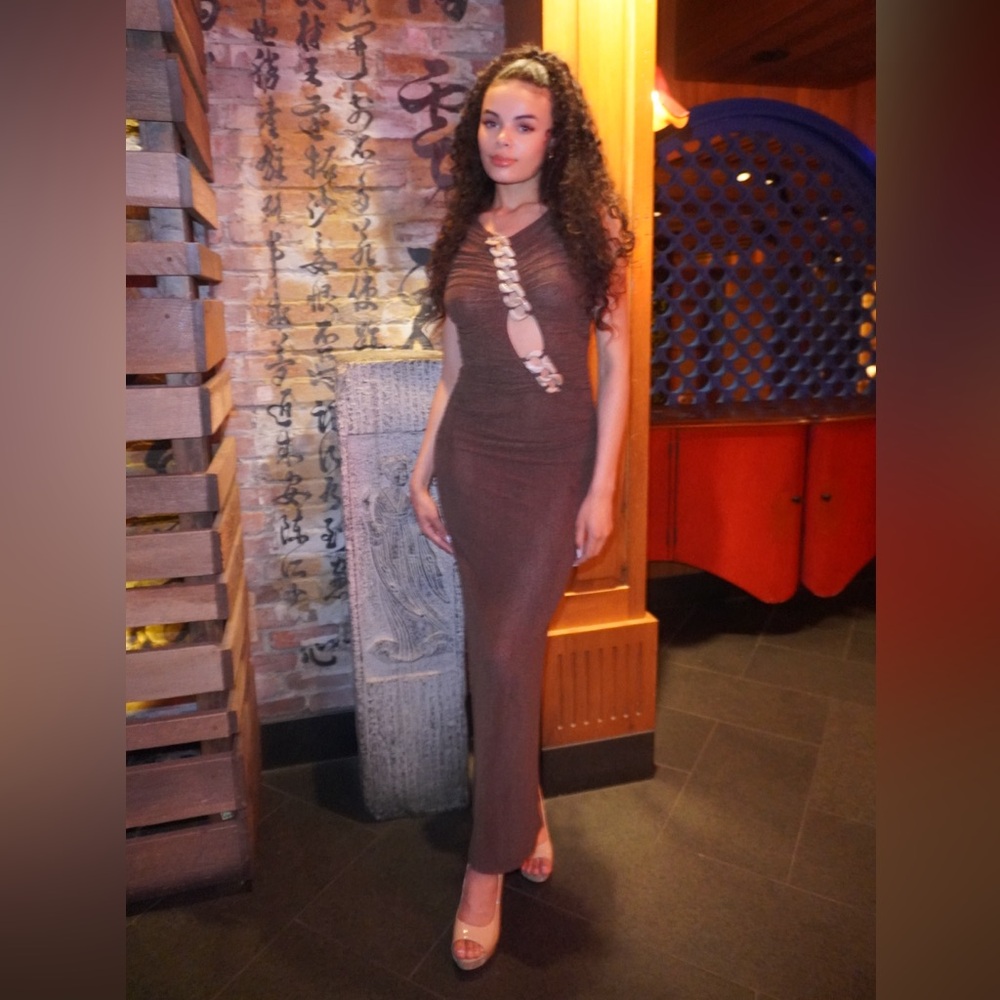 Chic  Brown Dress